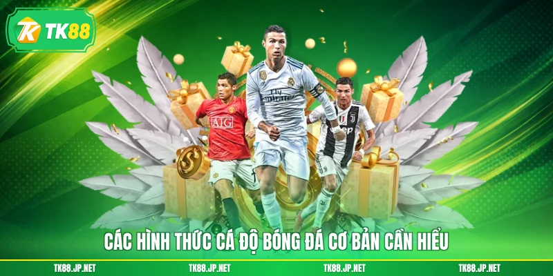 Các hình thức cá độ bóng đá cơ bản cần hiểu