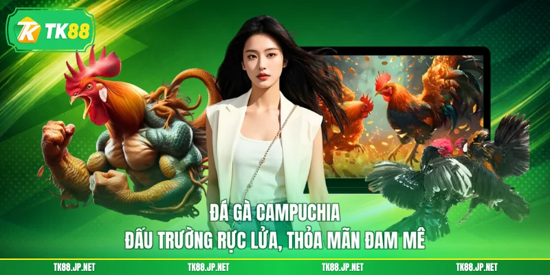 Đá Gà Campuchia - Đấu Trường Rực Lửa, Thỏa Mãn Đam Mê