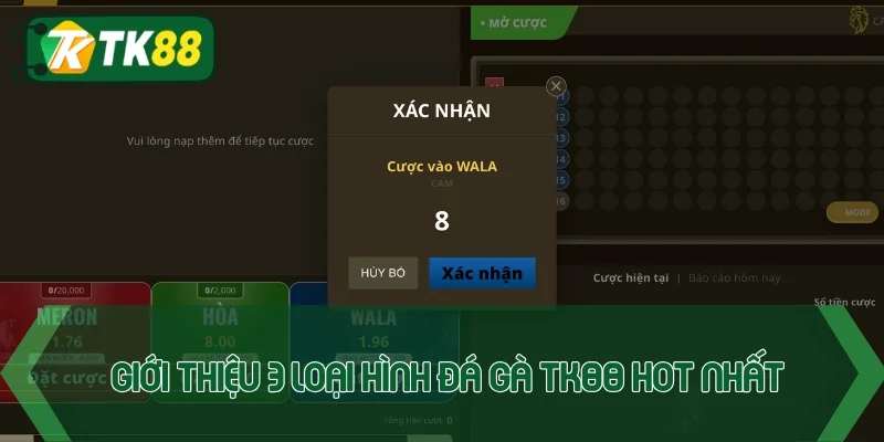 Giới thiệu 3 loại hình đá gà TK88 ưa chuộng