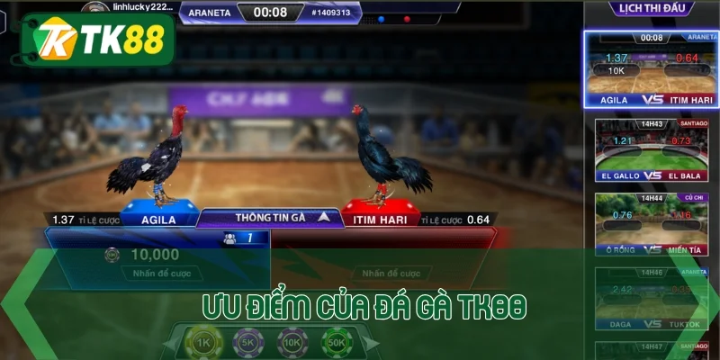 Chia sẻ vài điểm cộng của đá gà TK88