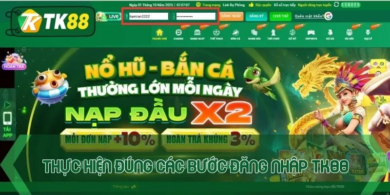 Thực hiện đúng các bước đăng nhập TK88