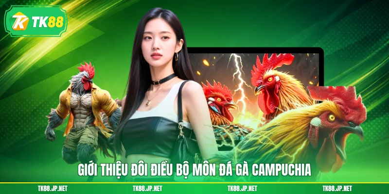 Giới thiệu đôi điều bộ môn đá gà Campuchia