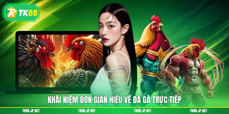 Khái niệm đơn giản hiểu về đá gà trực tiếp