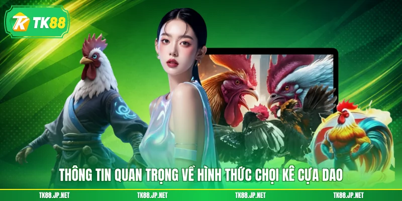 Thông tin quan trọng về hình thức chọi kê cựa dao