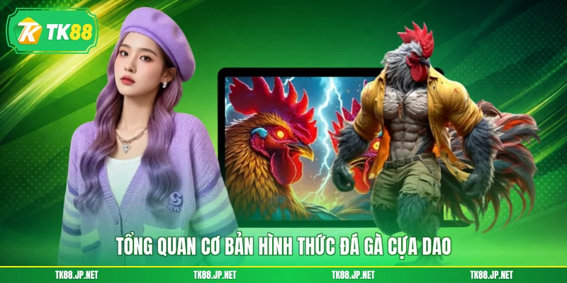 Tổng quan cơ bản hình thức đá gà cựa dao