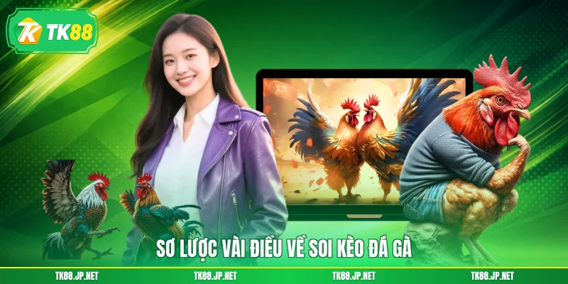 Sơ lược vài điều về soi kèo đá gà
