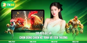 Soi Kèo Đá Gà - Chọn Đúng Chiến Kê, Rinh Về Tiền Thưởng