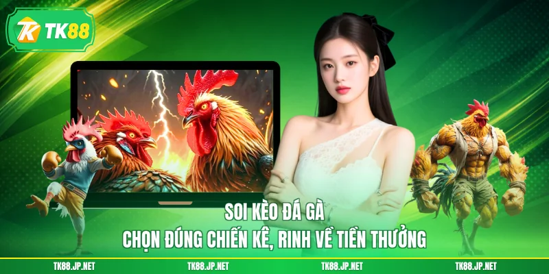 Soi Kèo Đá Gà - Chọn Đúng Chiến Kê, Rinh Về Tiền Thưởng
