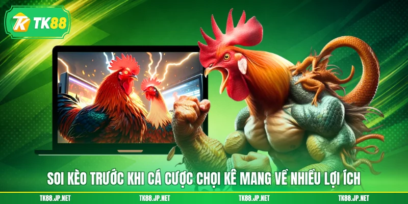 Soi kèo trước khi cá cược chọi kê mang về nhiều lợi ích
